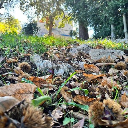 Il Trullo E Il Fortino Альберобелло Экстерьер фото