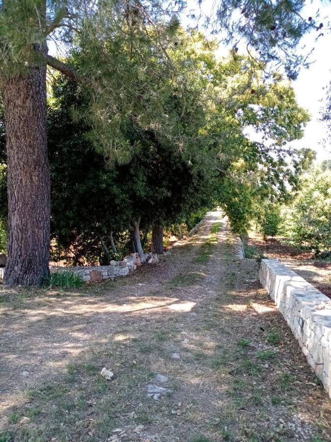 Il Trullo E Il Fortino Альберобелло Экстерьер фото