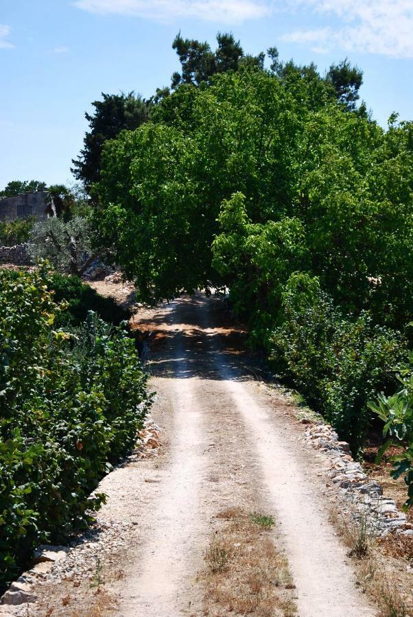 Il Trullo E Il Fortino Альберобелло Экстерьер фото